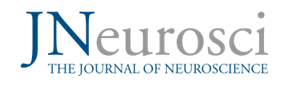 JNeurosci